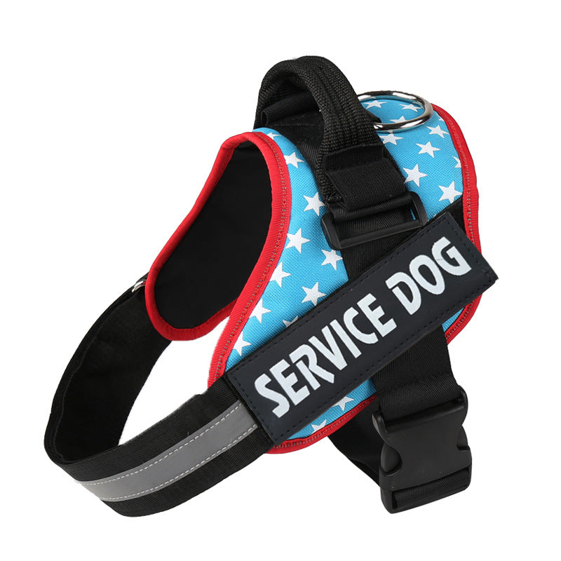 Dog wearing a padded reflective harness on an evening walk