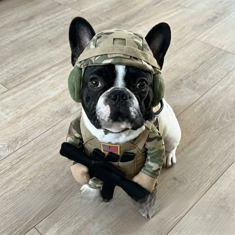 Cartoon soldier dog costume set with hat and matching accessories