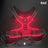 LED light-up dog harness for night walks, further angle view