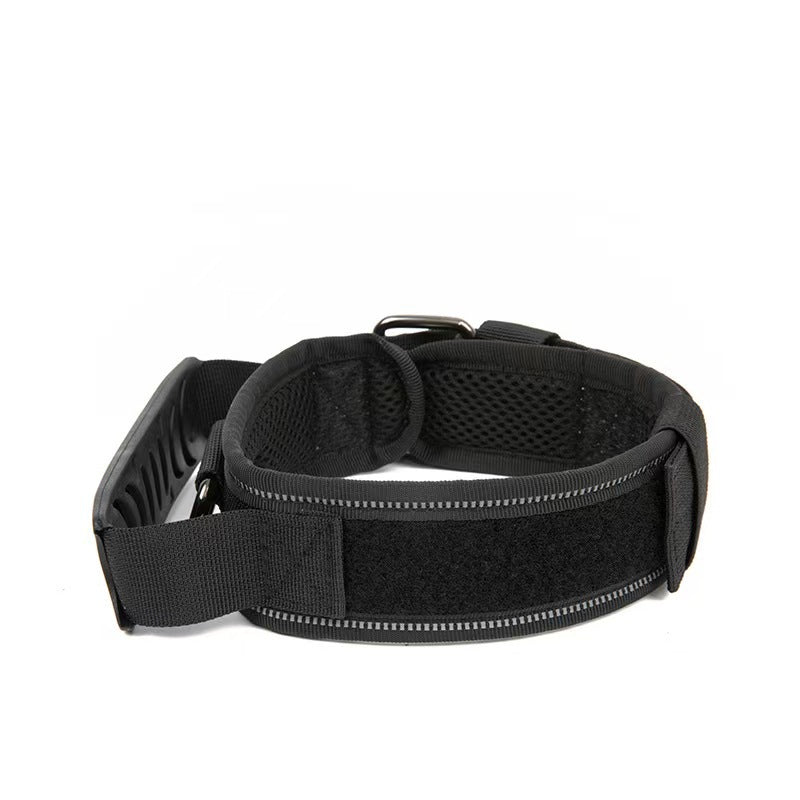 Tactical nylon dog collar with metal buckle in outdoor colours, side angle view