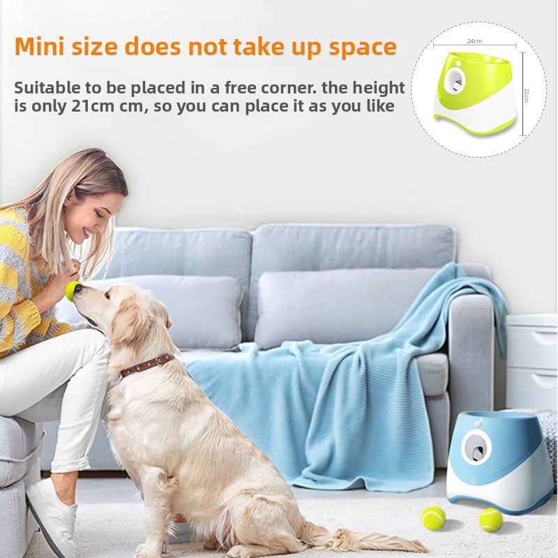 Automatic Tennis Ball Throwing Machine for Cats and Play