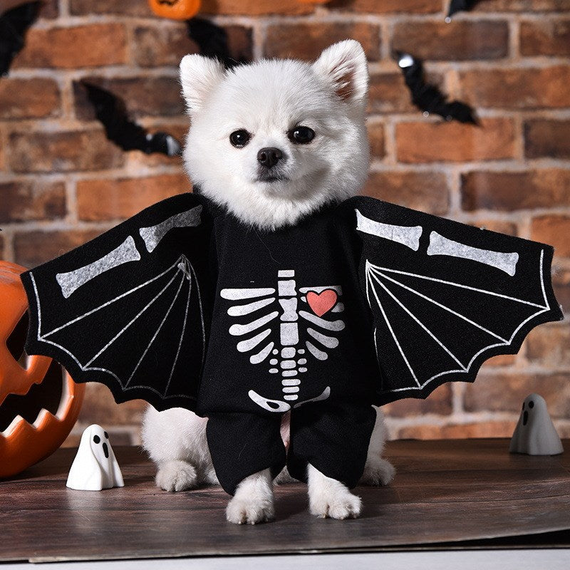 Selection of funny Halloween and Christmas costumes for pets
