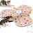 Interactive cat play cover with sound in sky blue, photo 4