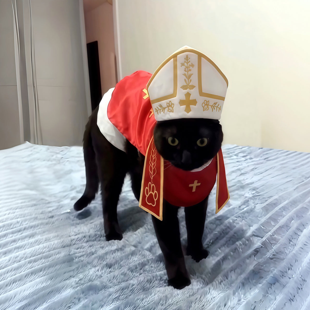 Red robe and tall hat Halloween costume for pets