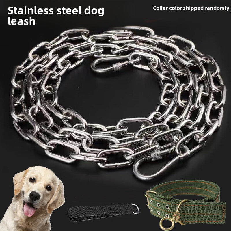 Stainless steel chain dog lead, available from Pet Royale UK