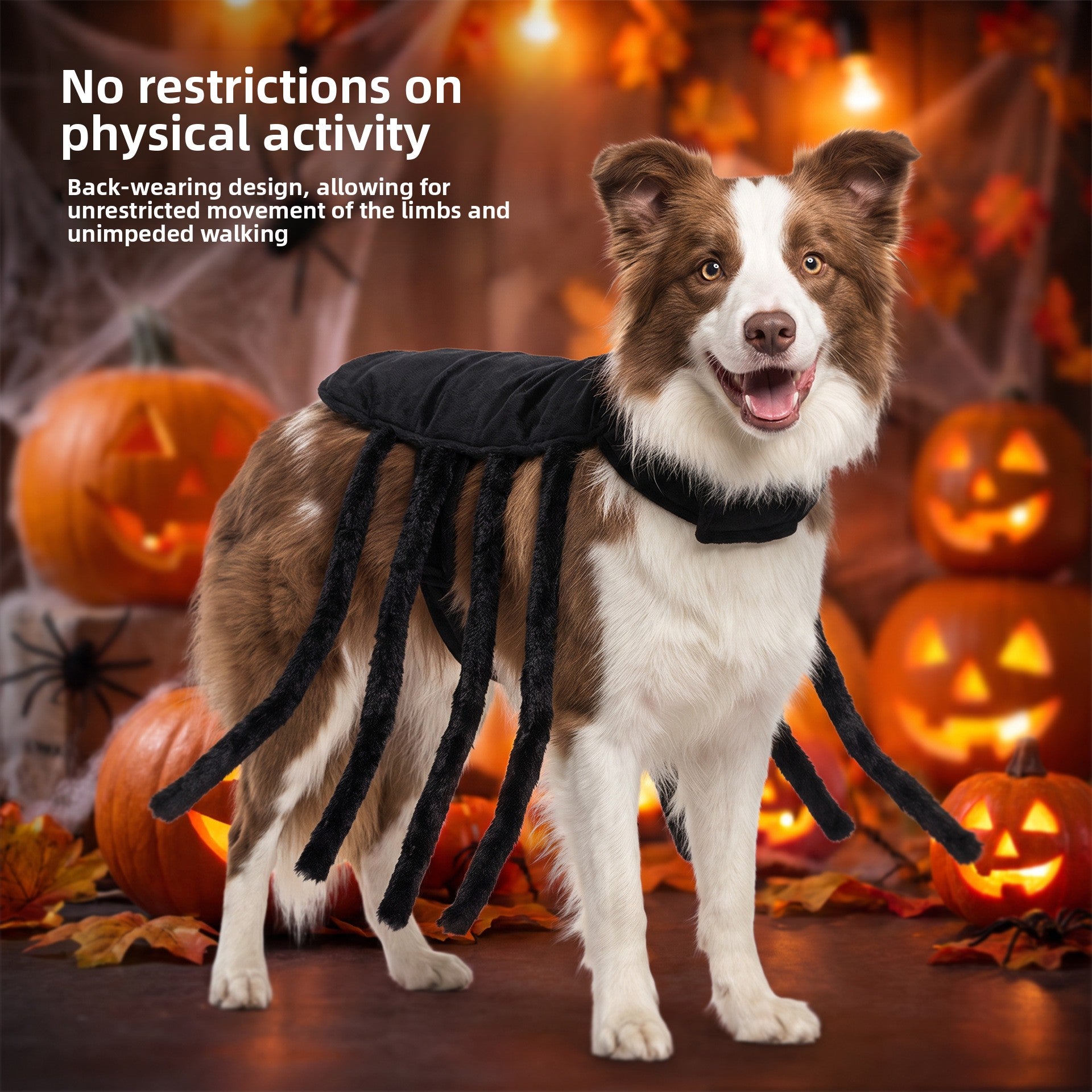 Spider Halloween costume harness for cats and dogs, product image 3