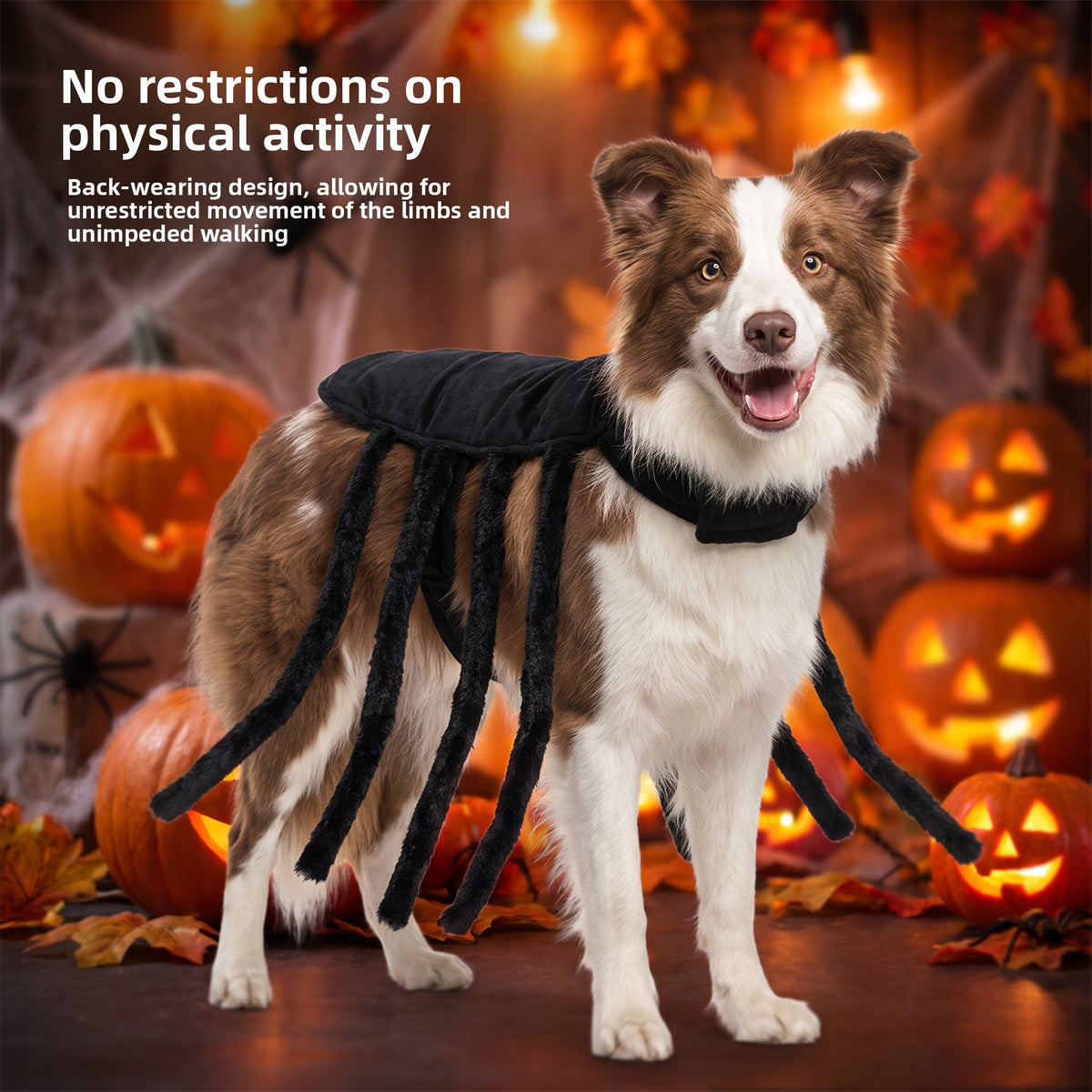 Spider Halloween costume harness for cats and dogs, product image 3