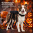Spider Halloween costume harness for cats and dogs, product image 3