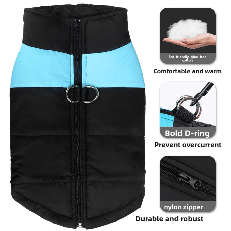 Large dog in a blue colour block padded ski vest