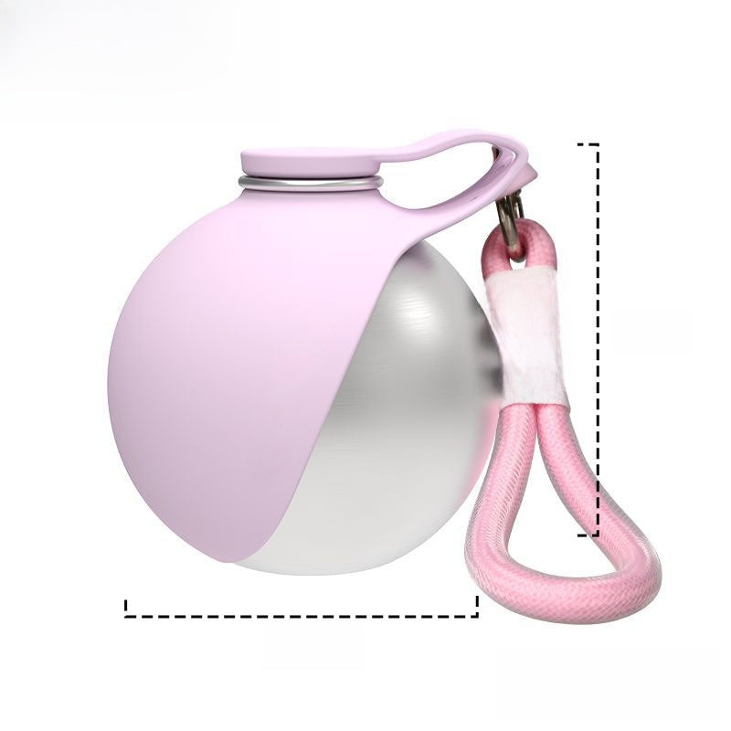Foldable Stainless Steel Pet Travel Water Bottle, Leak-Proof