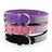 Rhinestone nylon collar for dogs and cats in Black, in a home setting