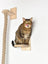 Natural jute cat climbing rope with wooden jumping platform, photo 4