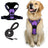 Burst proof dog harness shown in bright colours with round rope lead