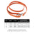 PU leather dog lead, ideal for everyday use