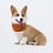 Cool touch cooling scarf for dogs and cats, available in 9 colours, image 27