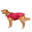Hooded reflective nylon rain poncho for large dogs, product image 12