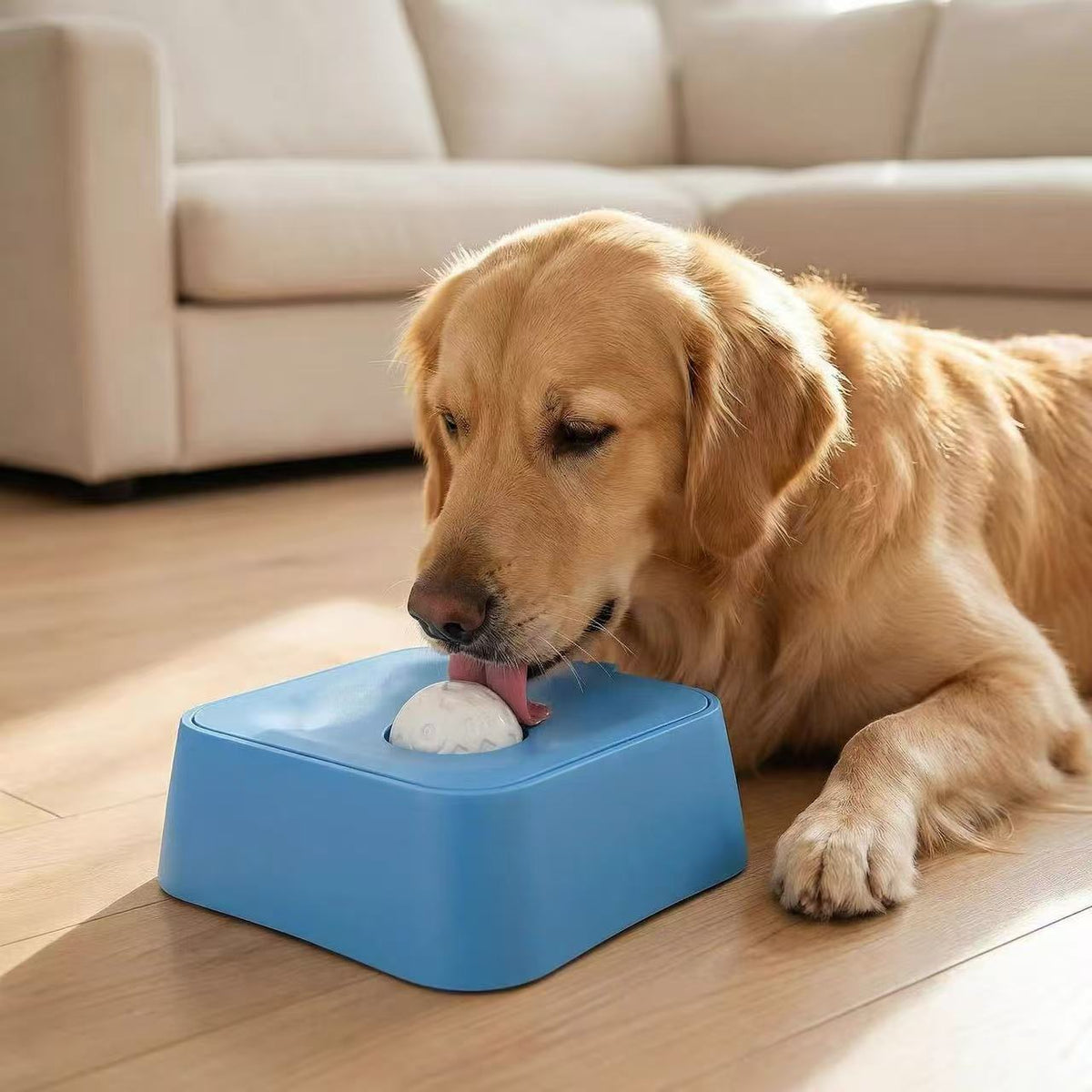 Slow Feeder Dog Bowl with Water Compartment, Non-Slip Base and Licking Surface