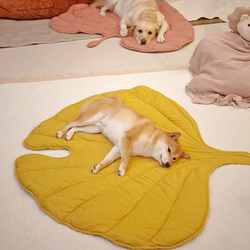 Leaf-shaped padded pet mat for cats and dogs, main product photo