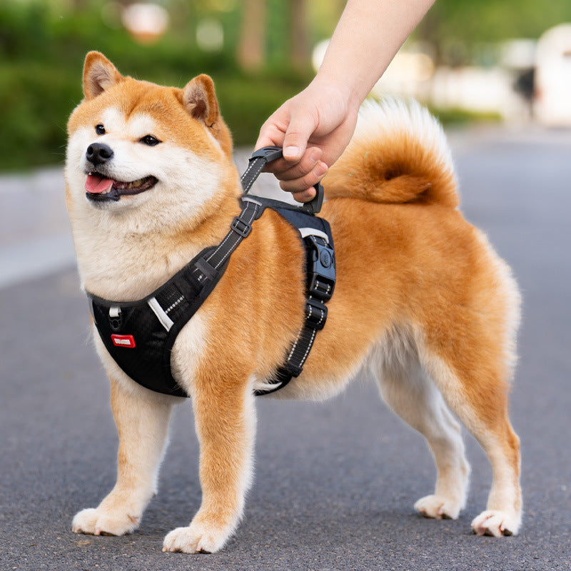 Adjustable burst-resistant dog harness, main product photo from Pet Royale UK
