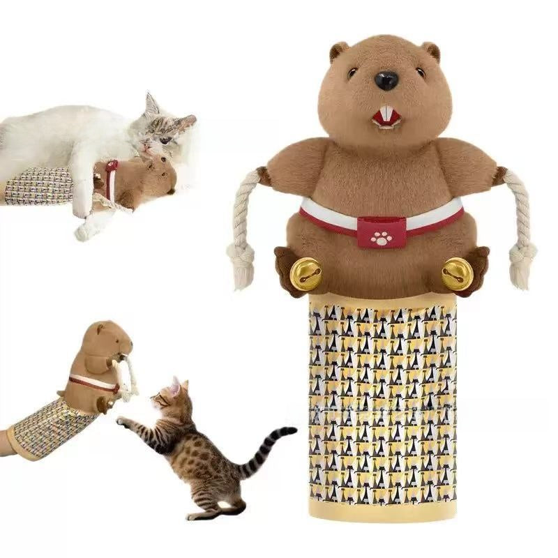 Plush cat wrestling glove toy with embroidery
