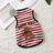 Small dog wearing a light blue striped summer vest