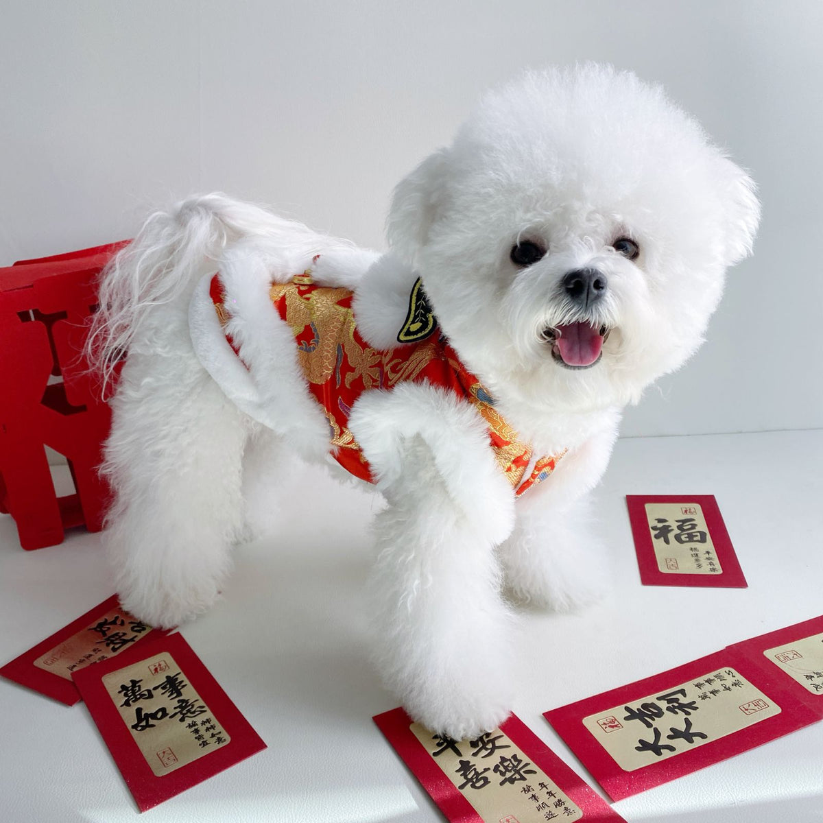 Hooded Tang suit New Year outfit for pets in Red Envelope, close-up detail