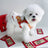 Hooded Tang suit New Year outfit for pets in Red Envelope, close-up detail
