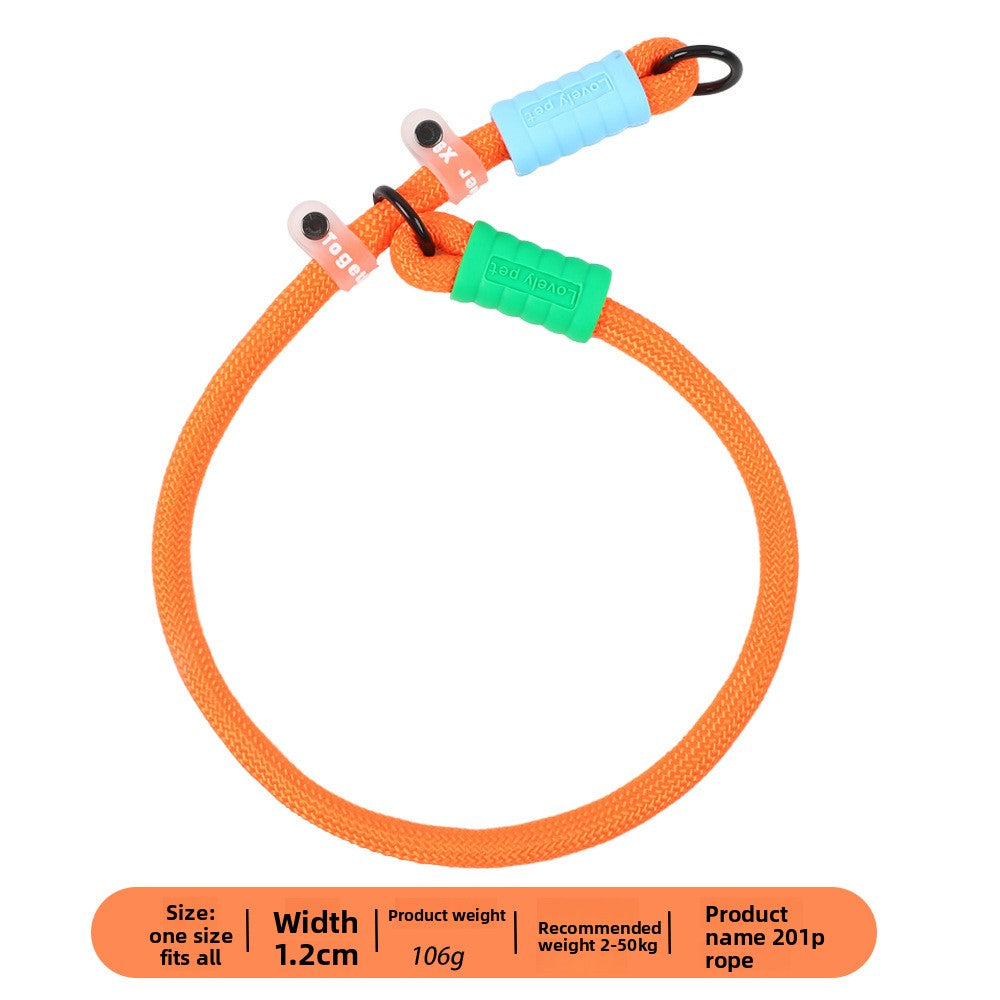 Bright nylon dog lead in vivid colour, product image 15