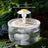 Automatic Circulation Pet Water Fountain with Multi-Stage Filter and Quiet Pump