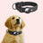 Nylon dog collar with built-in AirTag holder, tag not included, product image 3