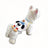 White big face puppy print summer dog vest, in White Puppy Face, image 5