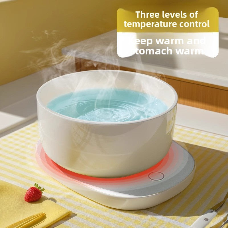 heating ceramic water bowl