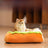 Small dog lying in a cartoon hot dog bed with removable cover