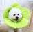 Lightweight soft cone collars in pink, purple and blue