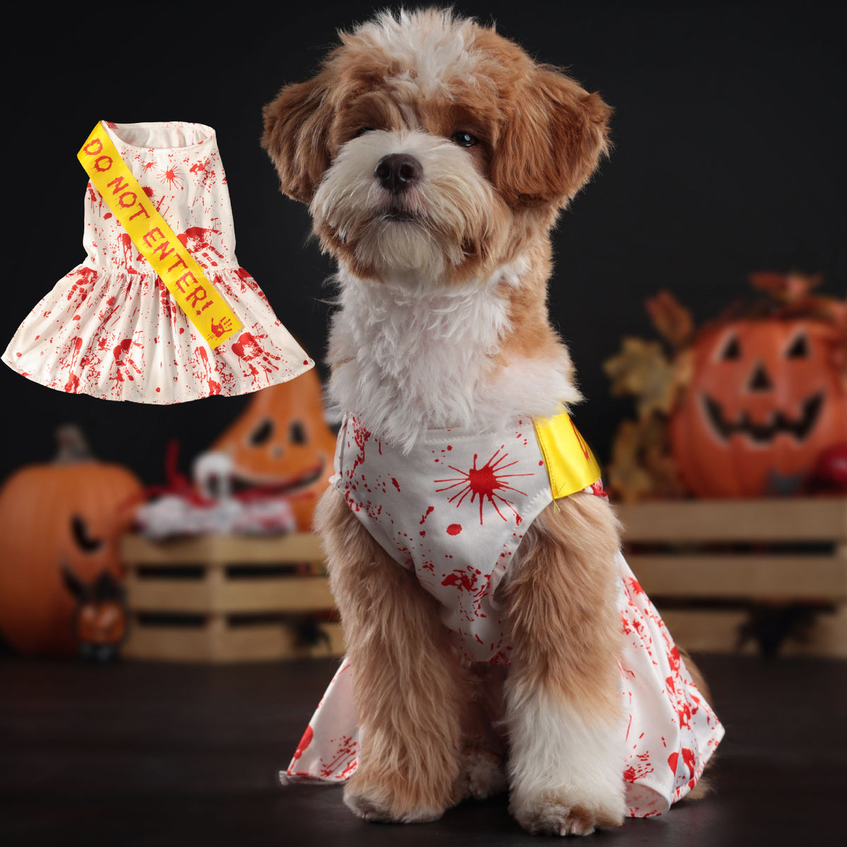 Small dog wearing a blood splatter print Halloween costume
