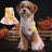 Small dog wearing a blood splatter print Halloween costume