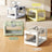 Light green foldable plastic pet travel crate with divider, photo 2