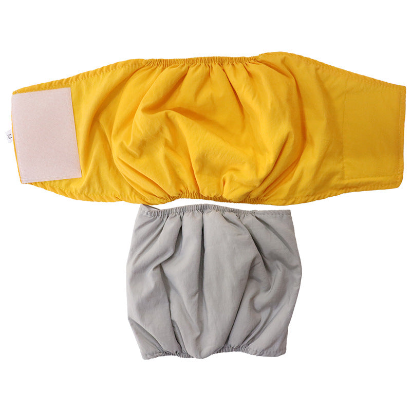Reusable dog hygiene pants with hook and loop fastening, in a home setting