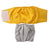 Reusable dog hygiene pants with hook and loop fastening, in a home setting