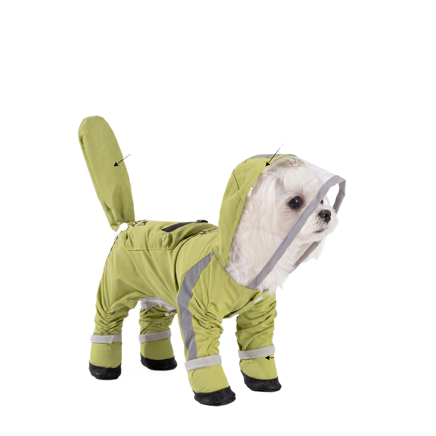 Small dog in a green hooded full cover rain poncho