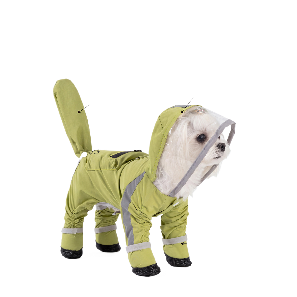 Small dog in a green hooded full cover rain poncho
