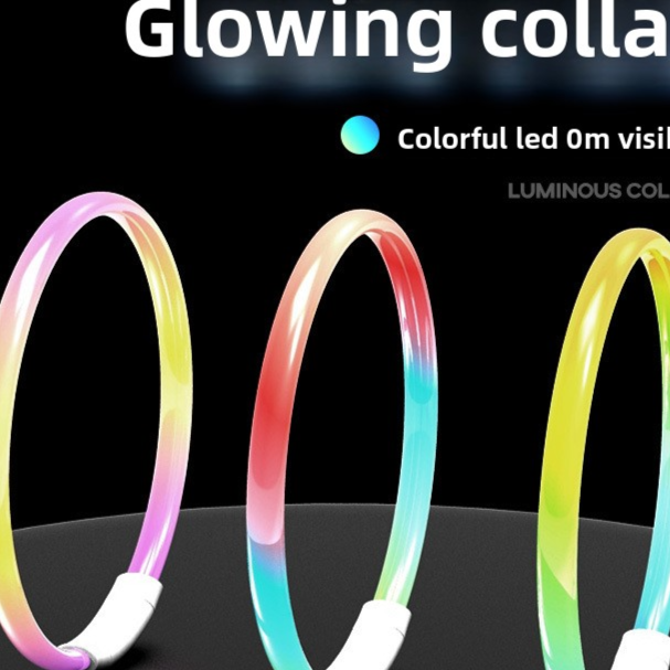 Rechargeable glowing LED dog collar for night walks, view 42
