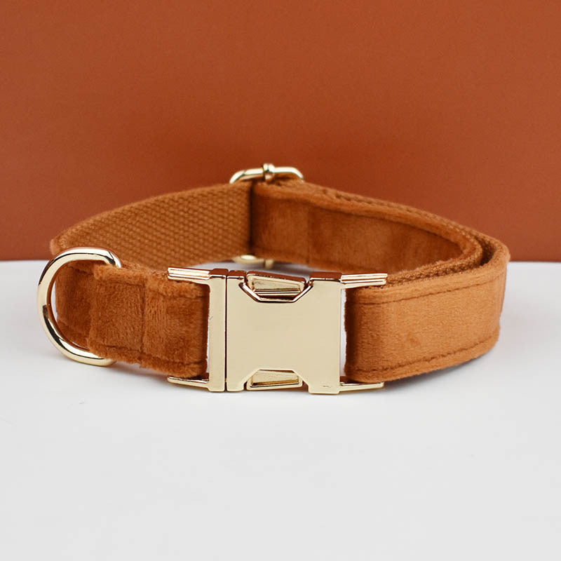 Velvet dog collars in burgundy, purple and white colour options