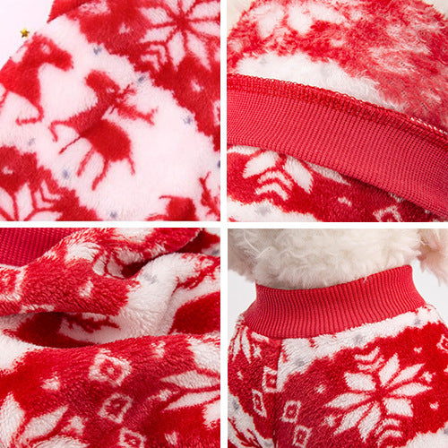 Coral velvet Christmas dog jumper with reindeer print in Red Elk, in a home setting