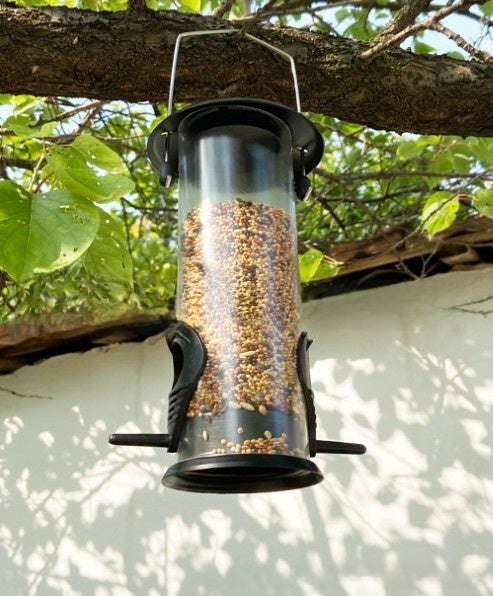 Lazy-person automatic bird feeder