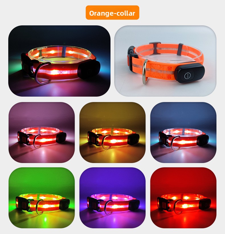 USB rechargeable LED dog collar and lead, in a home setting