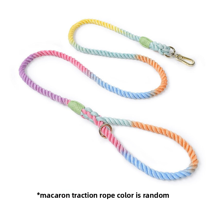 Pastel woven dog collars with gold buckles in many colours
