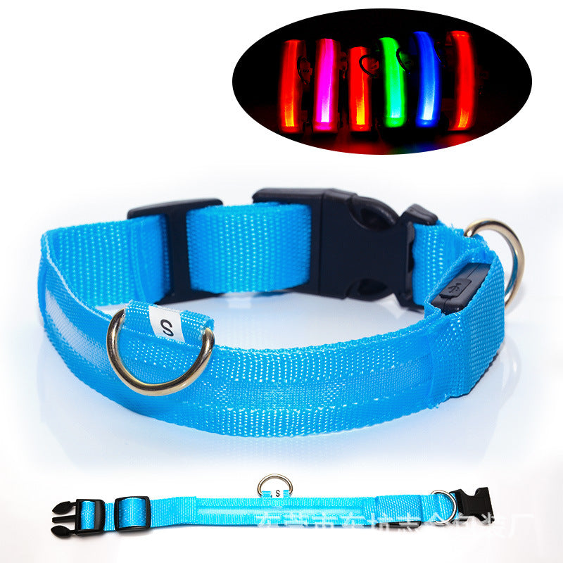 Rechargeable LED dog collars in eight glowing colours