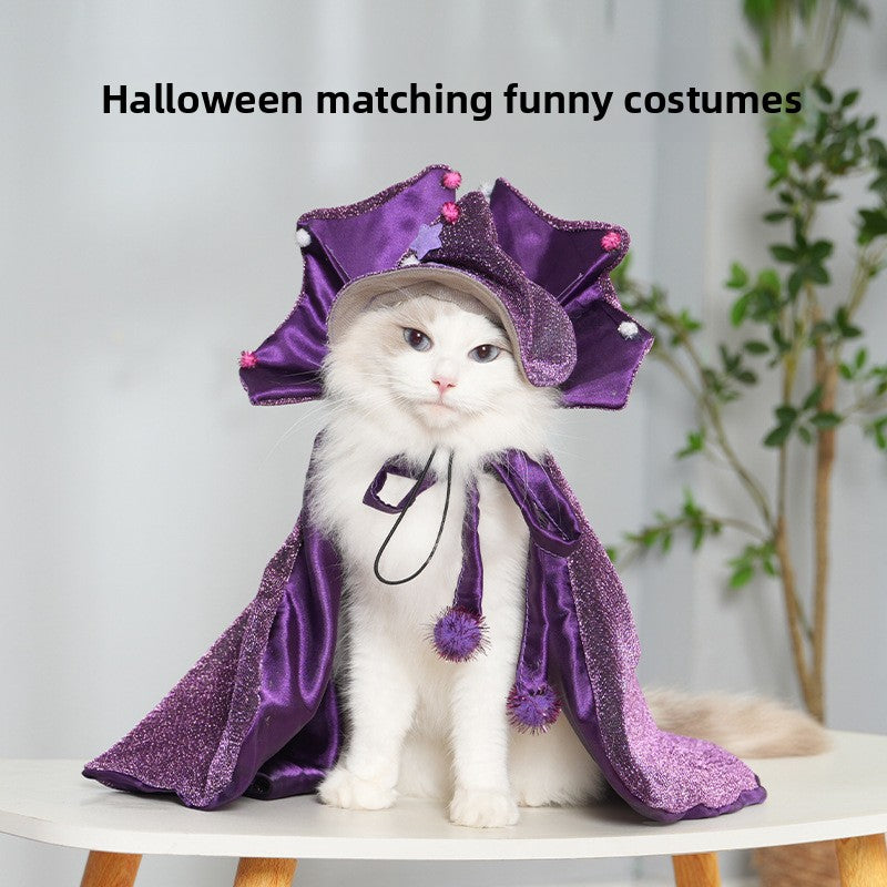 Cat wearing a purple Halloween wizard cloak and hat