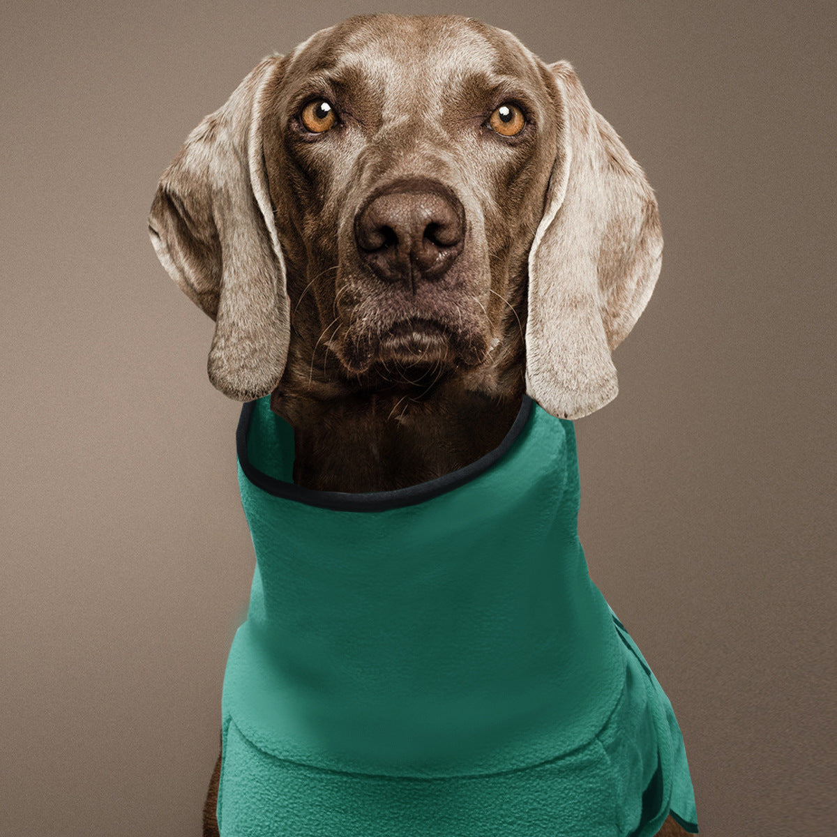 Hooded polar fleece dog jumper, available in 5 colours, sizes Small to 5XL, image 4